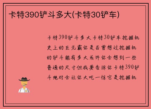 卡特390铲斗多大(卡特30铲车)